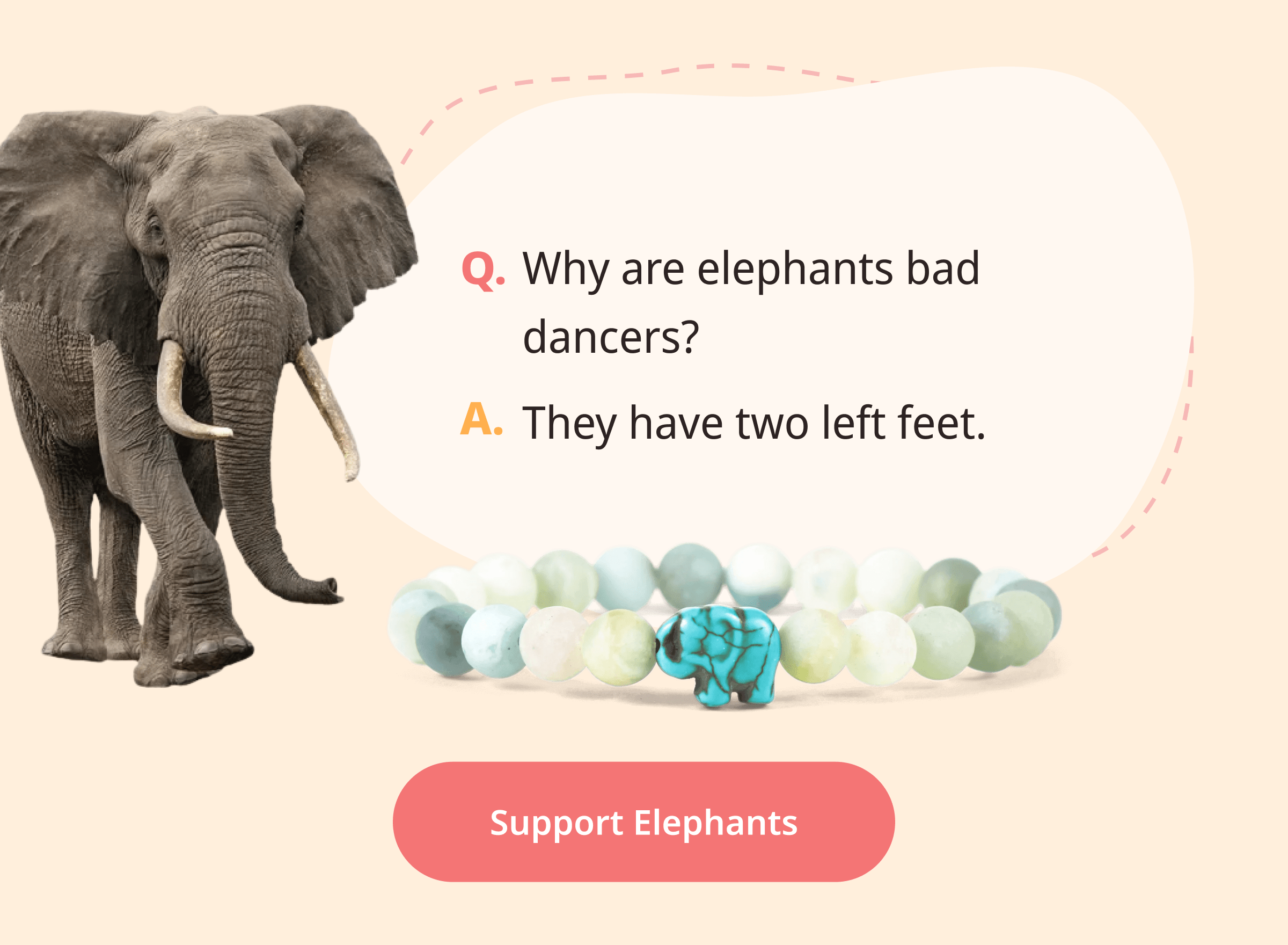 Animal Riddles & Jokes to Brighten Your Week 🐾 Wildlife Collections