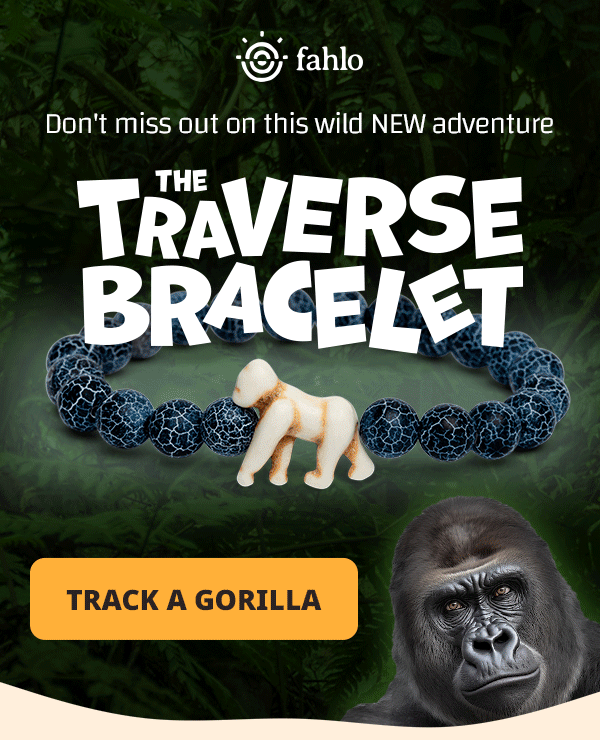 Have you seen our newest addition?? 🦍 Wildlife Collections