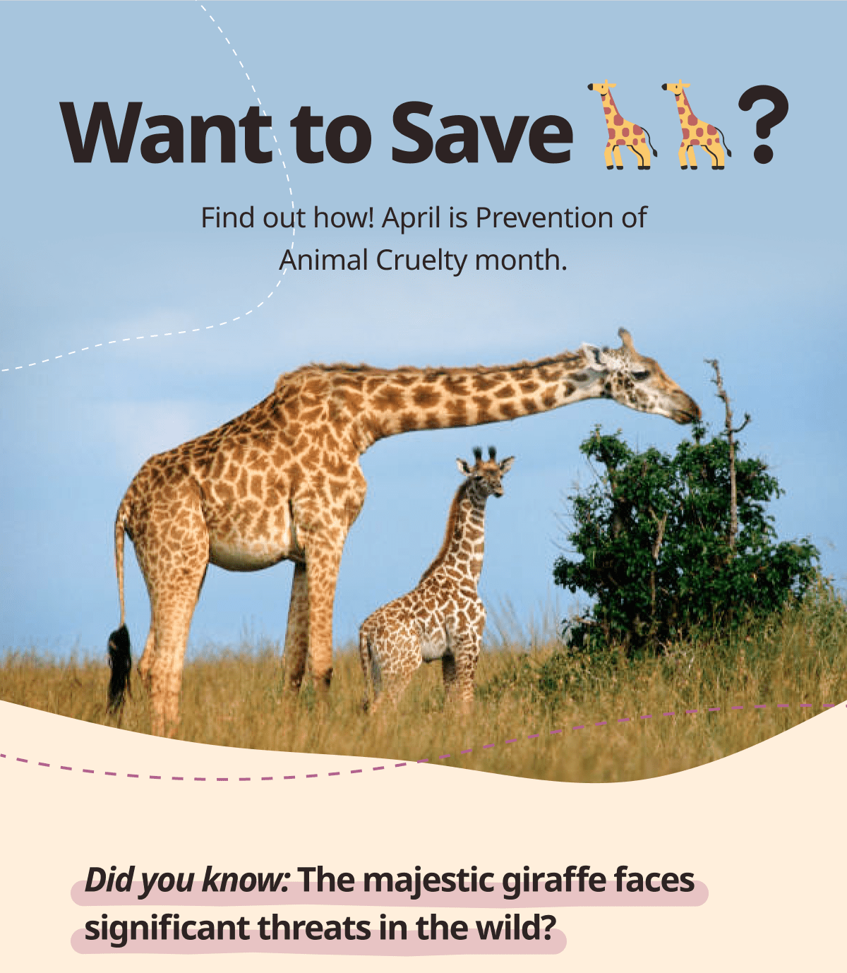 Prevent Cruelty to 🦒 Wildlife Collections