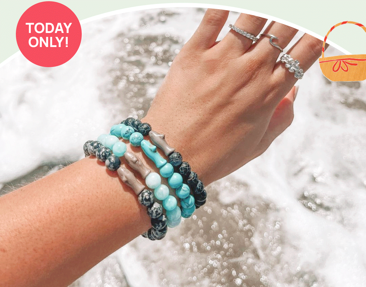 From Land 🦁 to Sea.. 🦈 Wildlife Collections