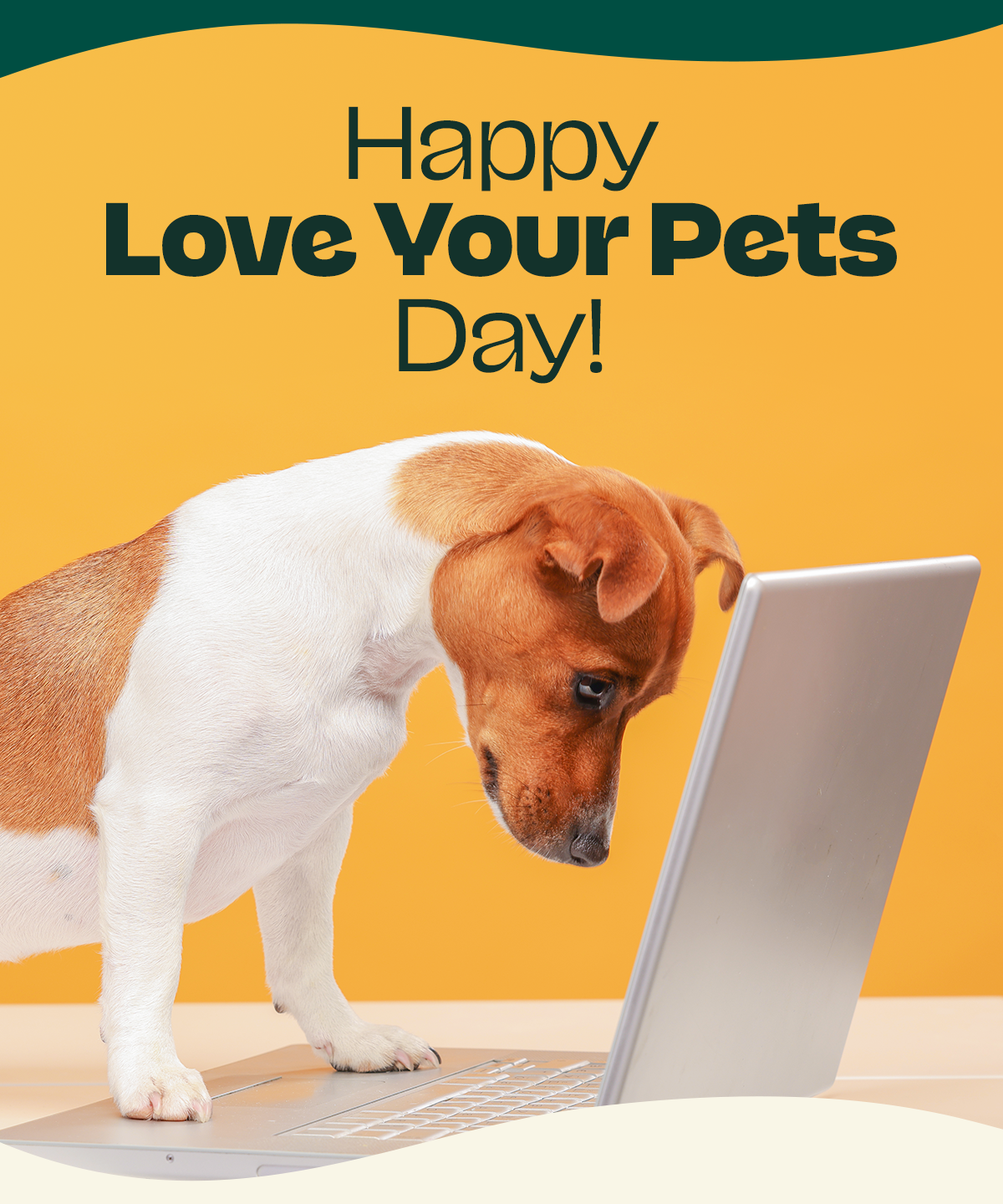 Happy Love Your Pets Day!