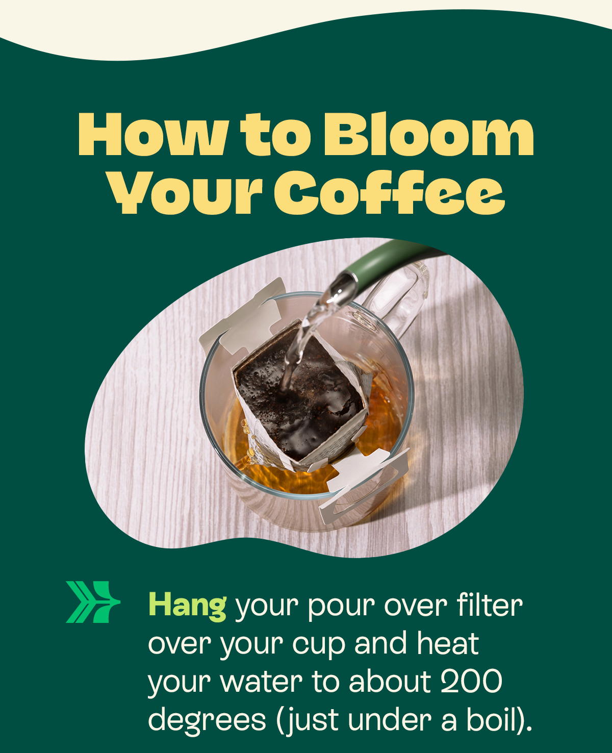 How to Bloom your Coffee