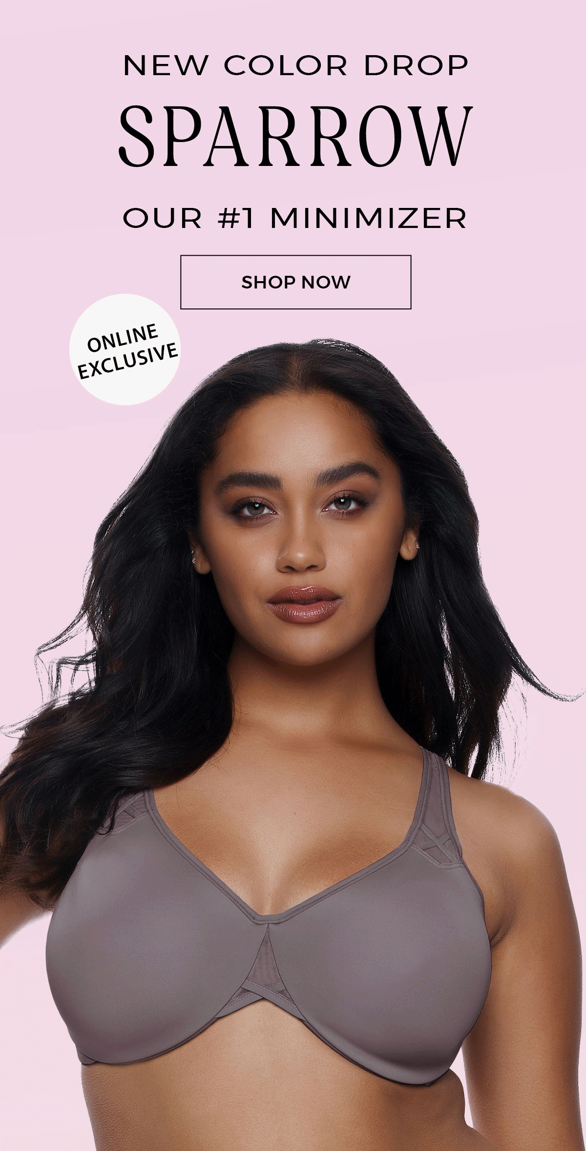 Shop Amaranth Minimizer