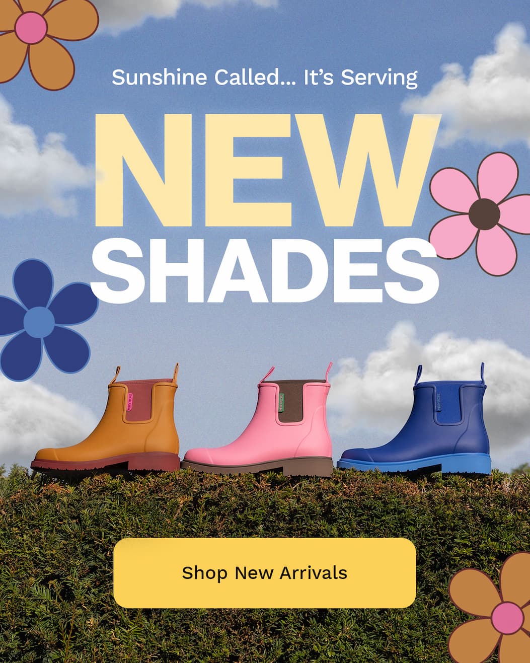 Sunshine Called...it's serving NEW shades!