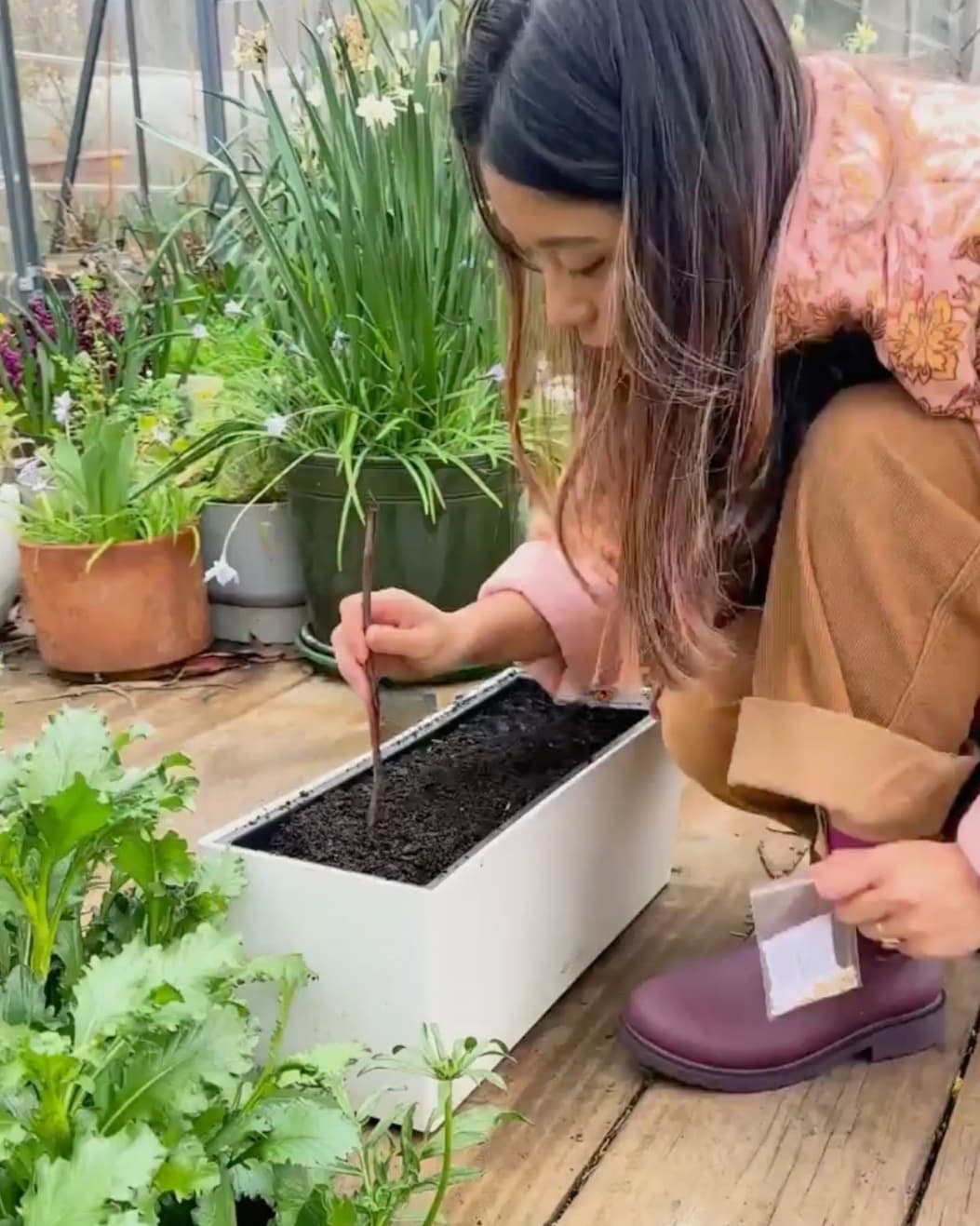 3 veggies to plant in spring