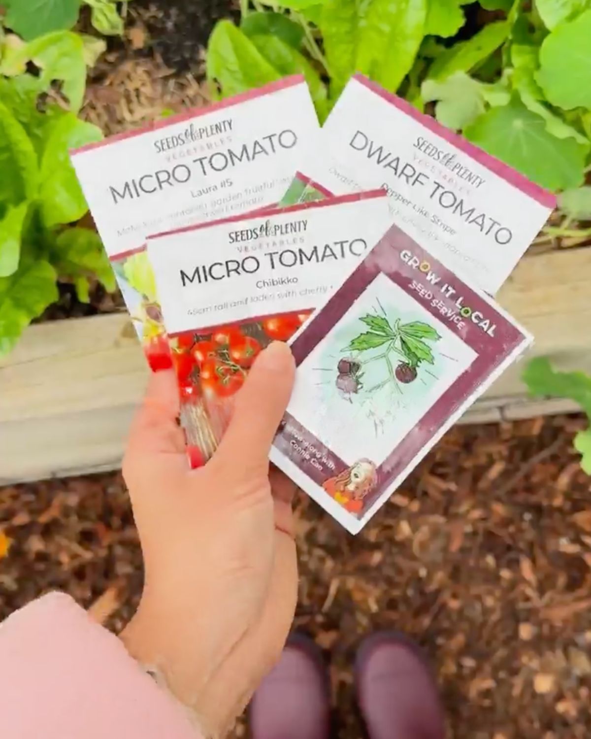 Pot-friendly veggies to plant in spring