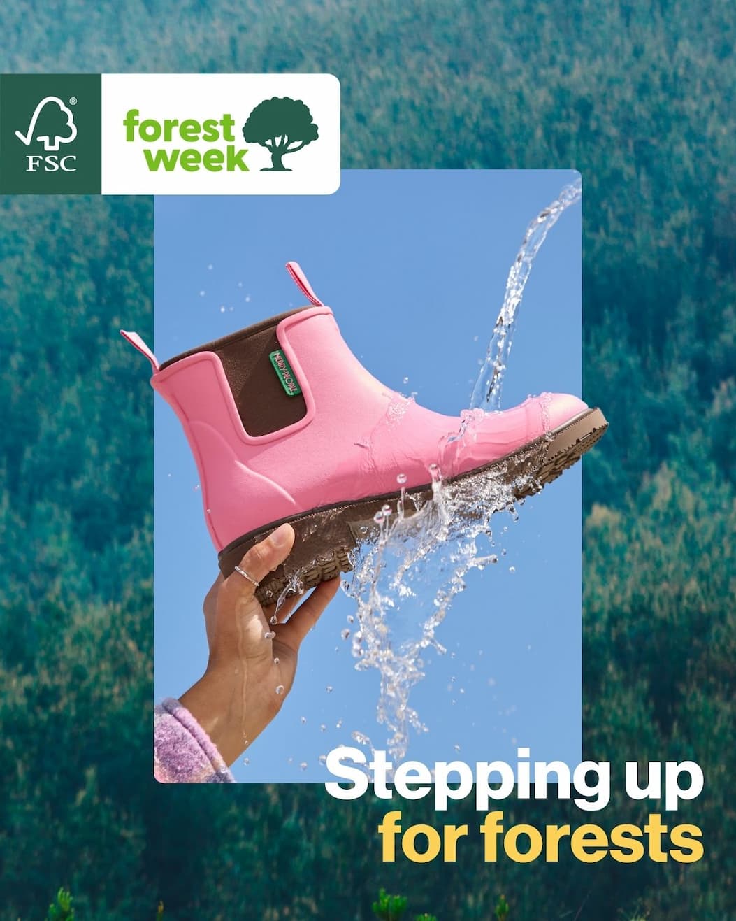 FSC Forest Week - Stepping up for forests