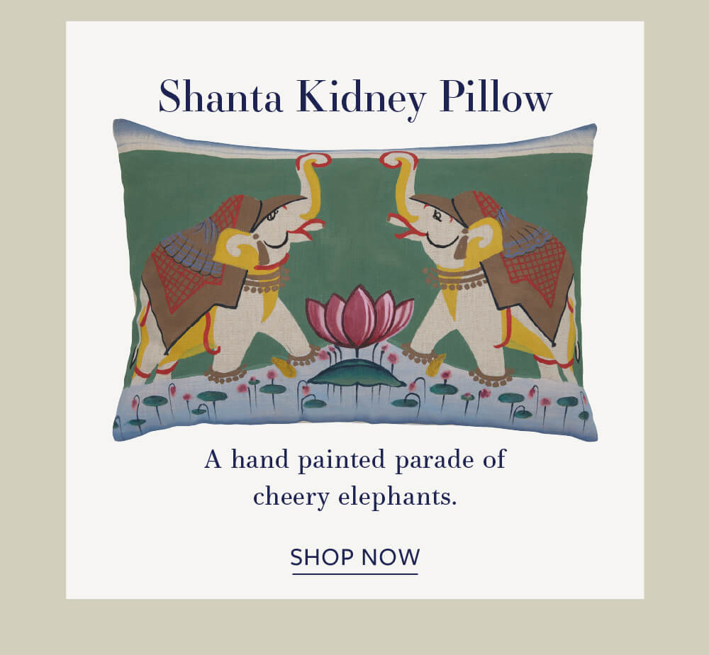 Shanta Kidney Pillow