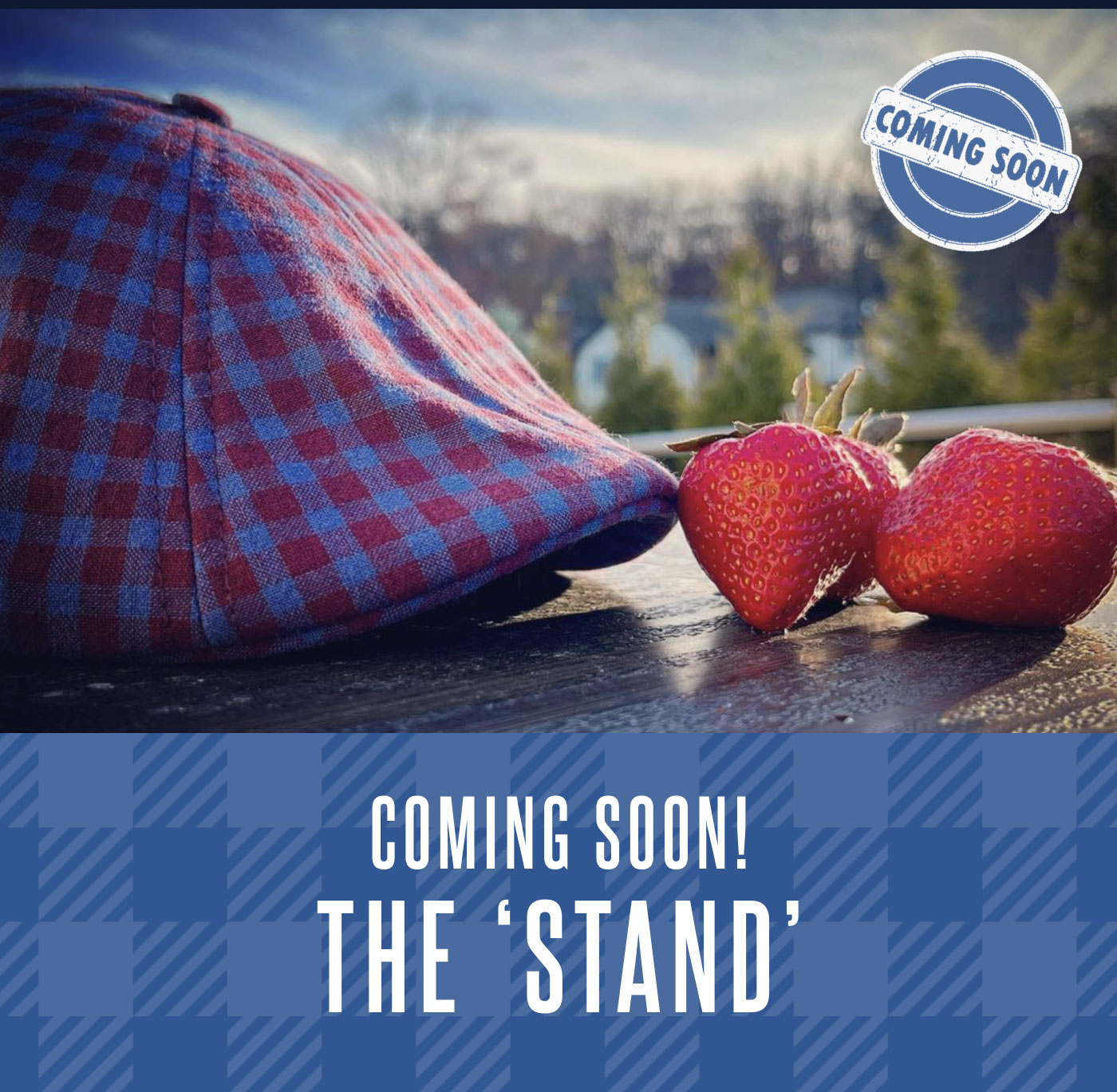 Coming Soon! The Stand
