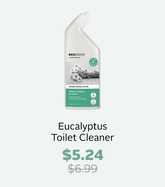 toilet cleaner