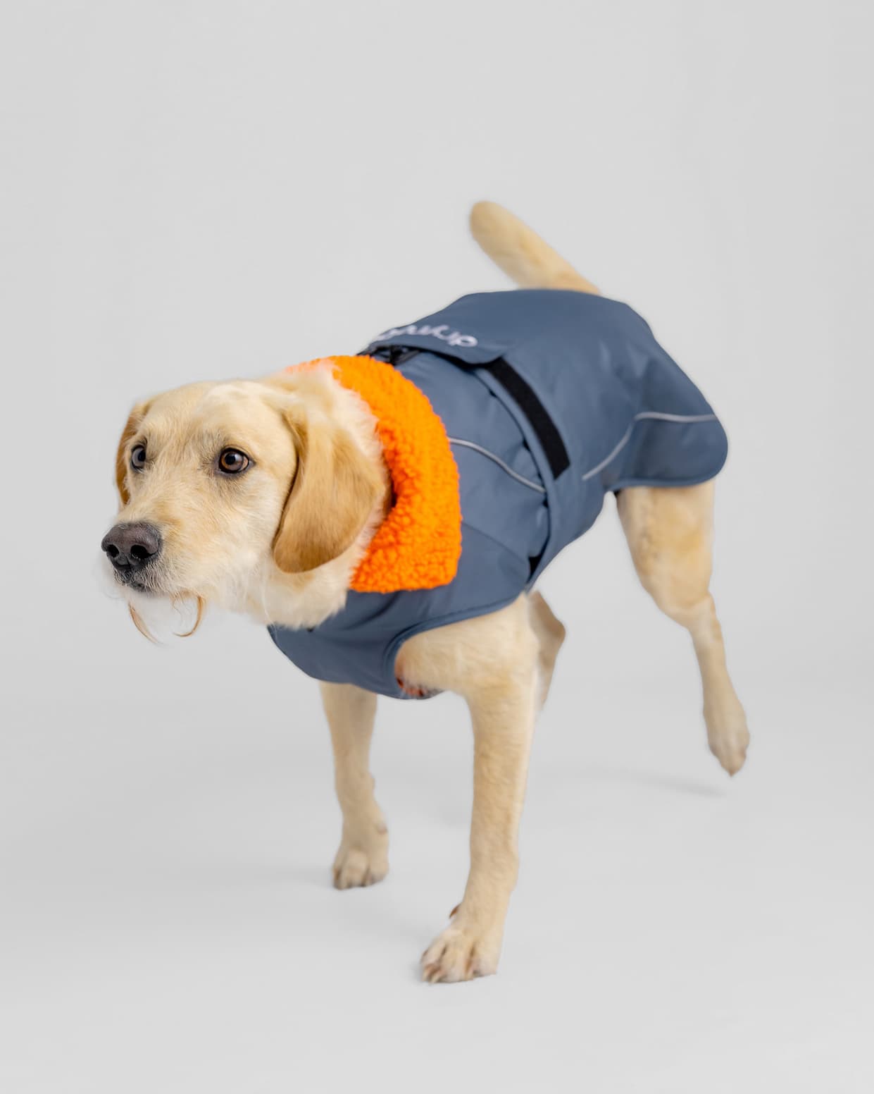 Dryrobe® Dog Coat in Dark Grey Orange