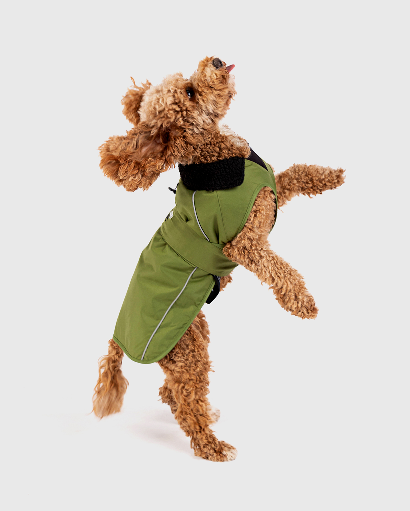 dryrobe® Dog in Forest Green