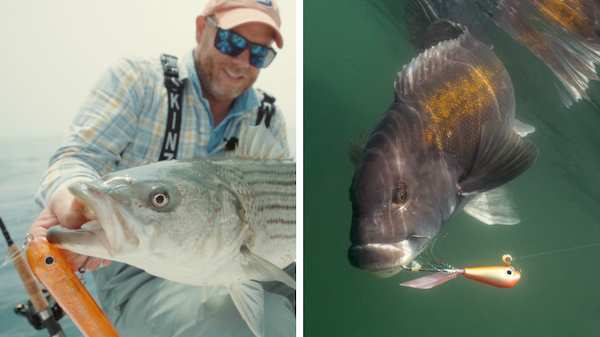 Hogy 7'6" Heavy Conventional rod
