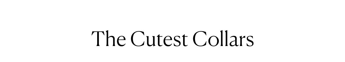 The Cutest Collars