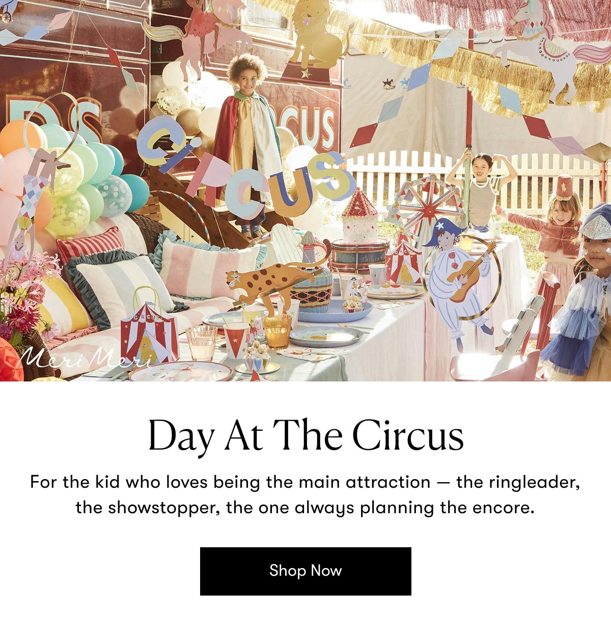 Day At The Circus