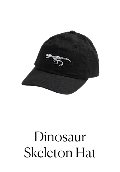 Dinosaur Skeleton Hat