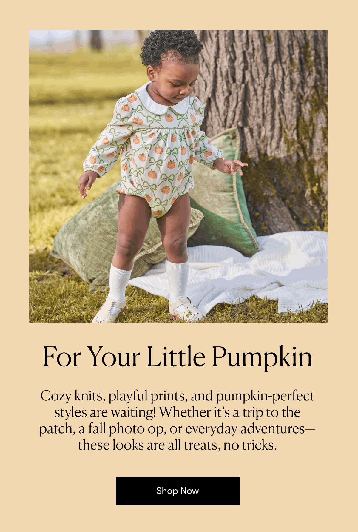 For Your Little Pumpkin