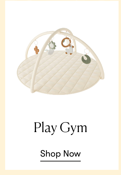 Play Gym