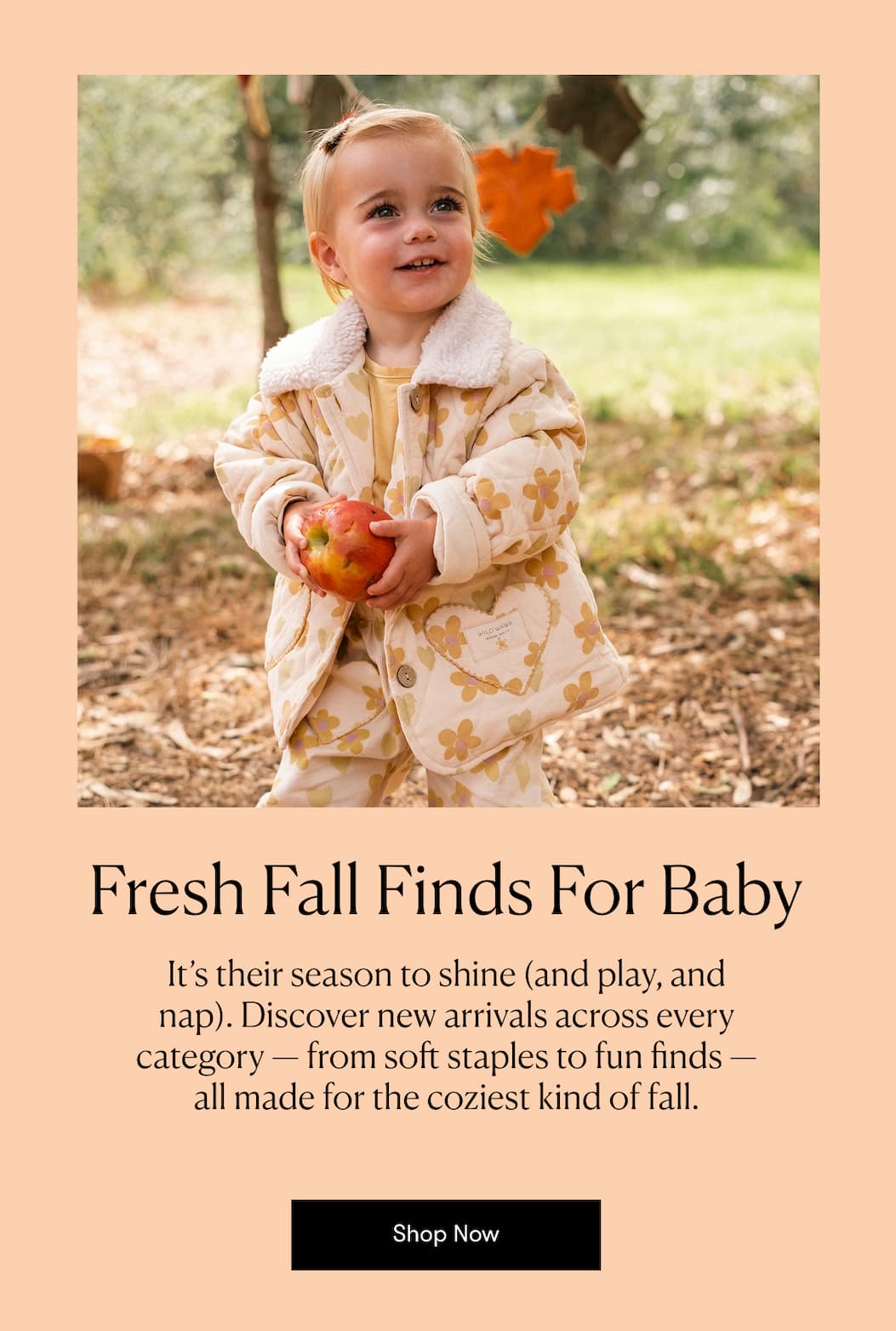 Fresh Fall Finds For Baby Fresh Fall Finds For Baby
