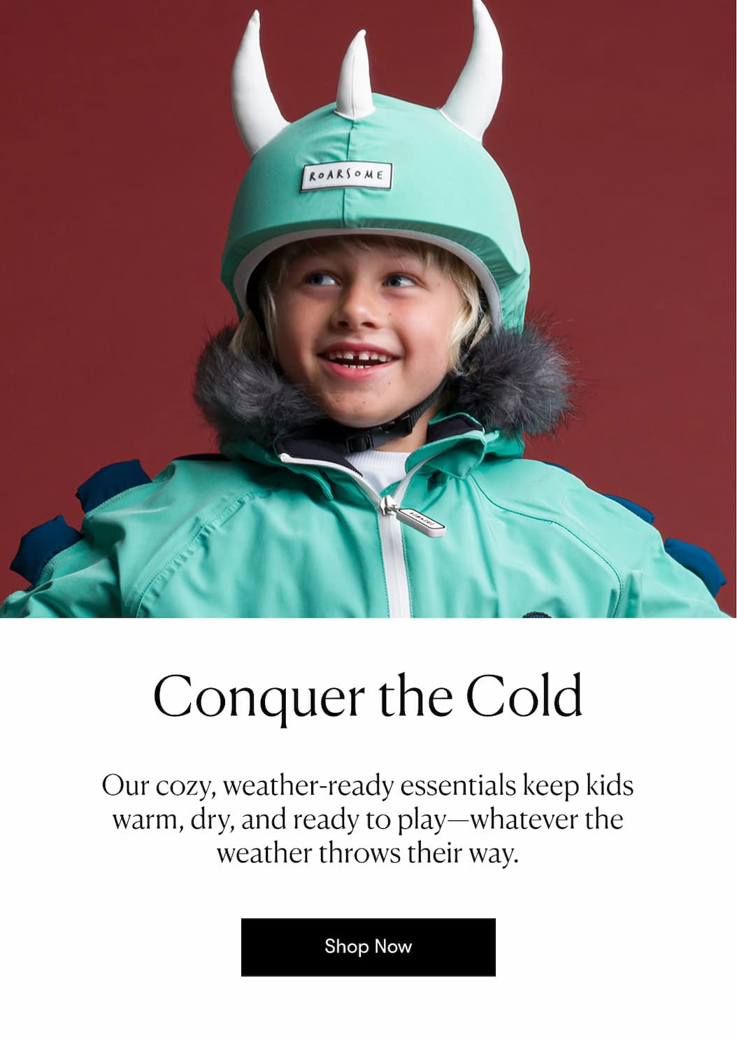Conquer The Cold