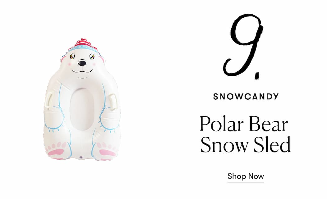 Polar Bear Snow Sled