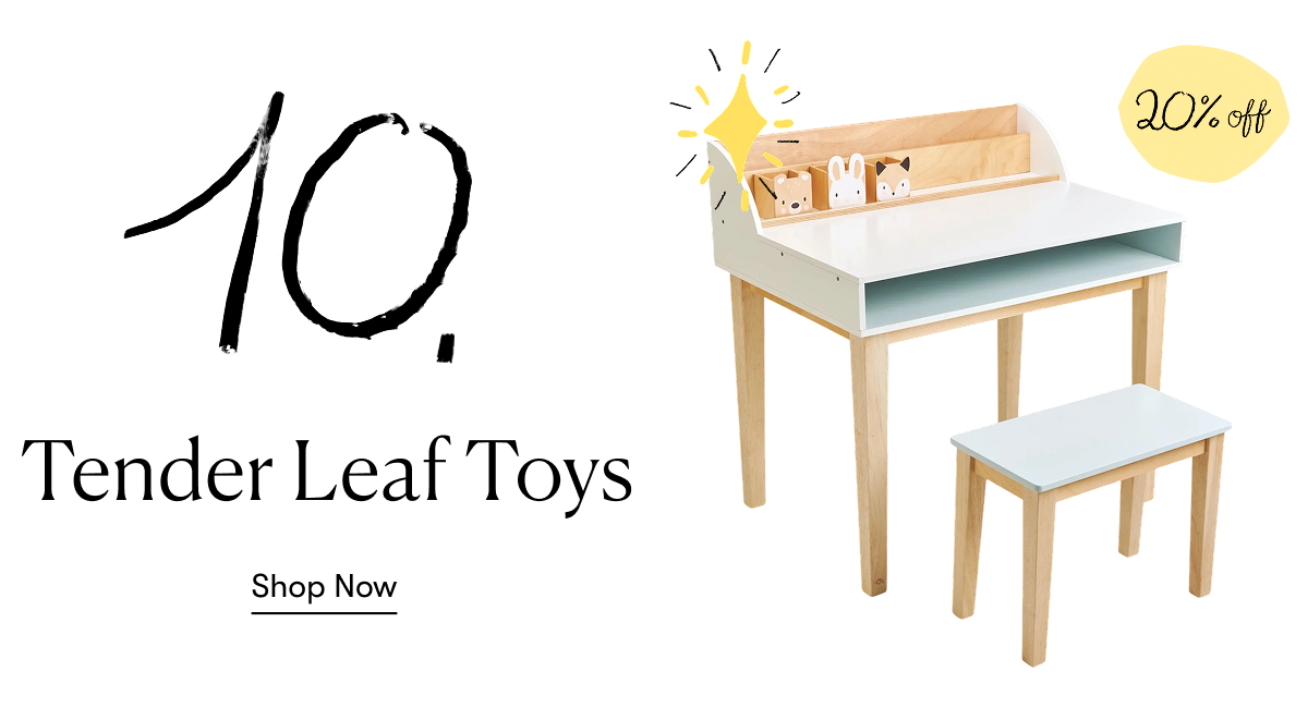 Tender Leaf Toys