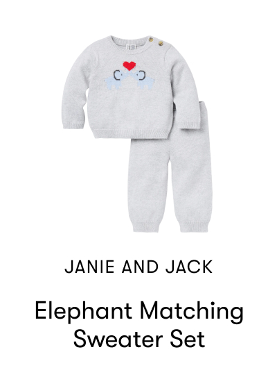 Elephant Sweater Set