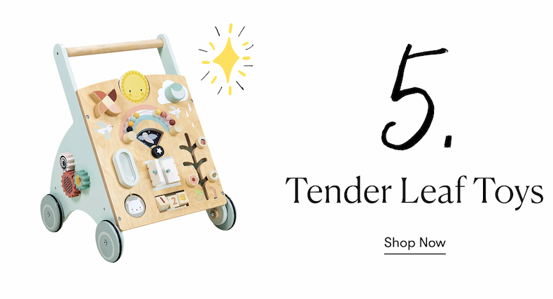 Tender Leaf Toys