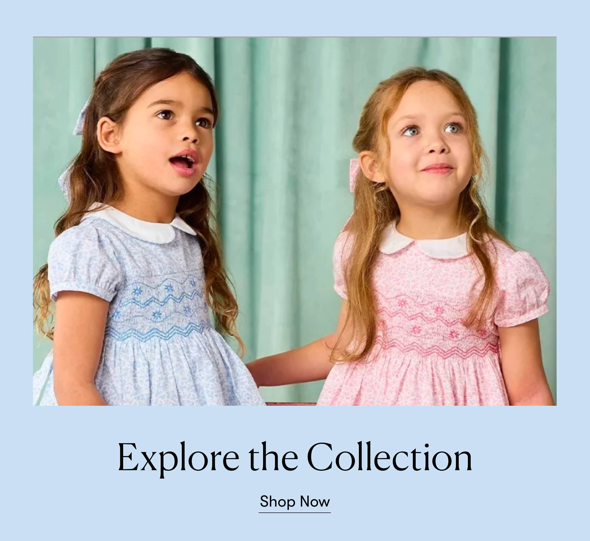 Explore the Collection