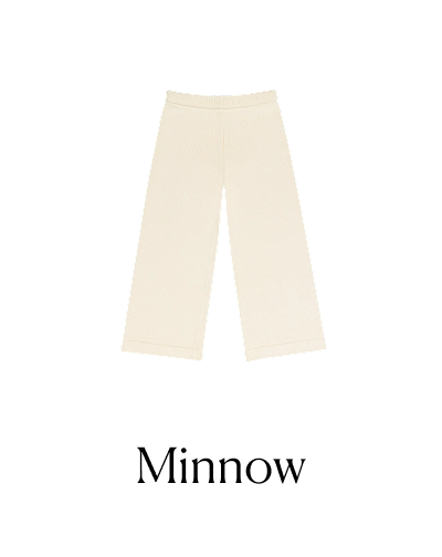 Minnow