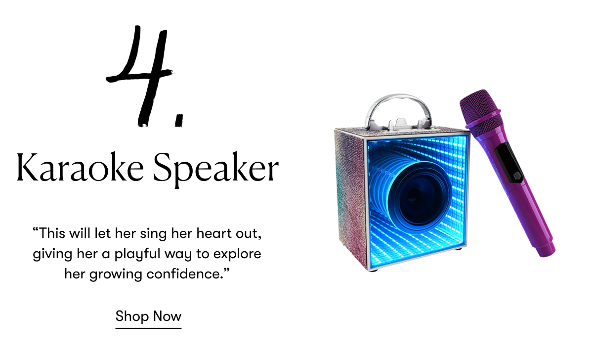 Karaoke Speaker