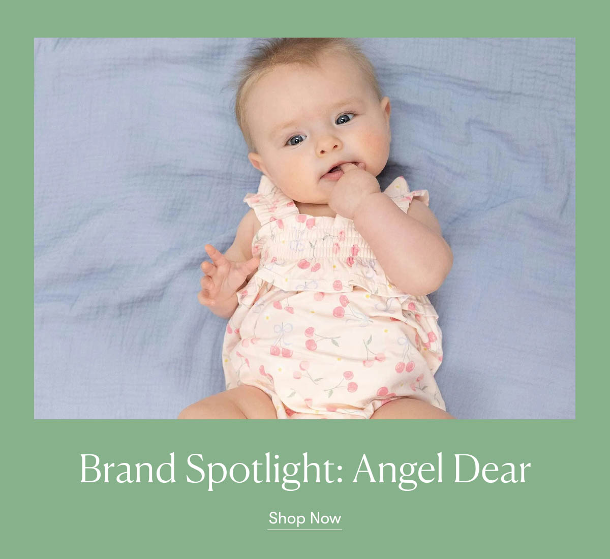 Brand Spotlight Angel Dear
