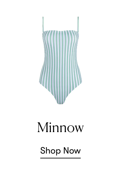 Minnow