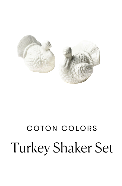 Turkey Shaker Set