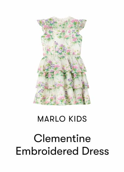 Clementine Embroidered Dress