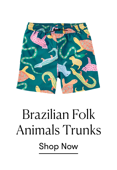 Brazilian Folk Animal Trunks
