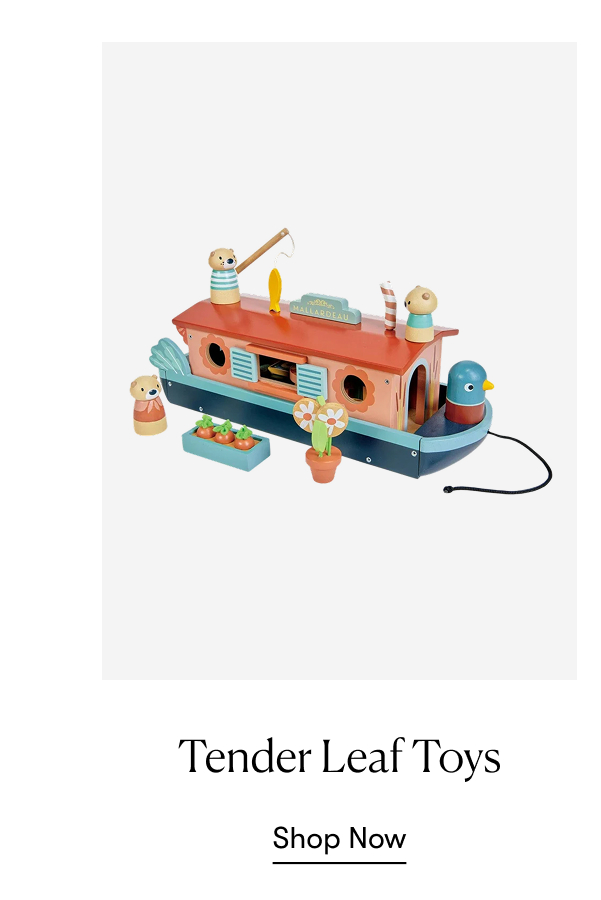 Tender Leaf Toys