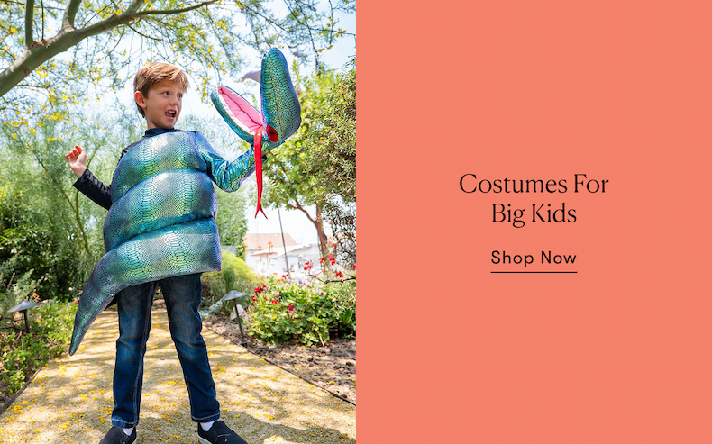 Costumes for Big Kids Costumes for Big Kids