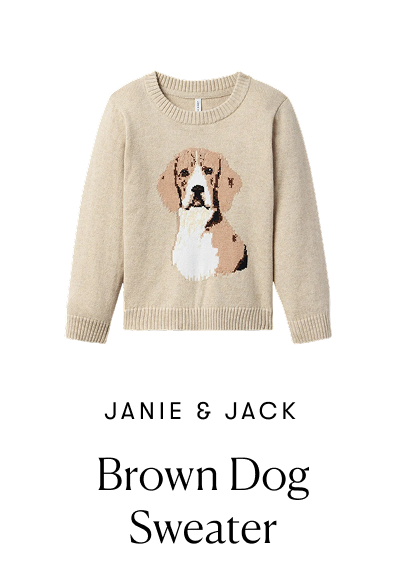 Brown Dog Sweater