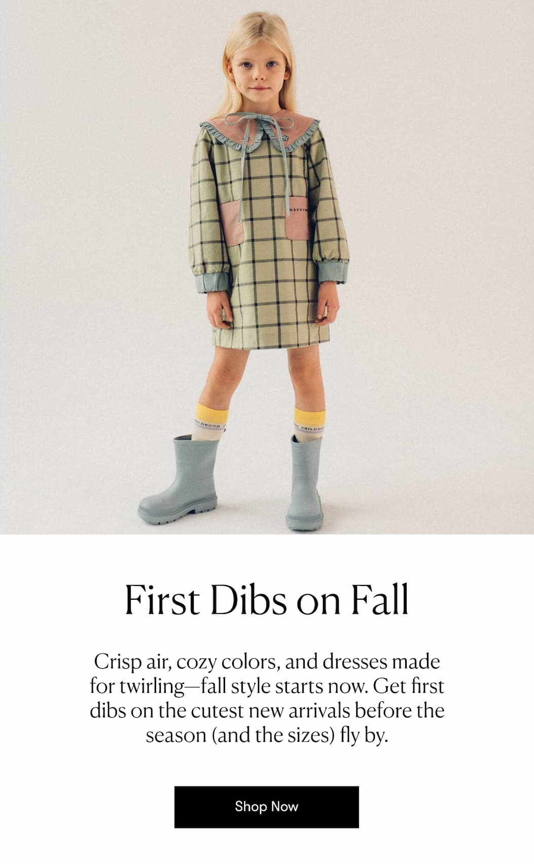 First Dibs on Fall