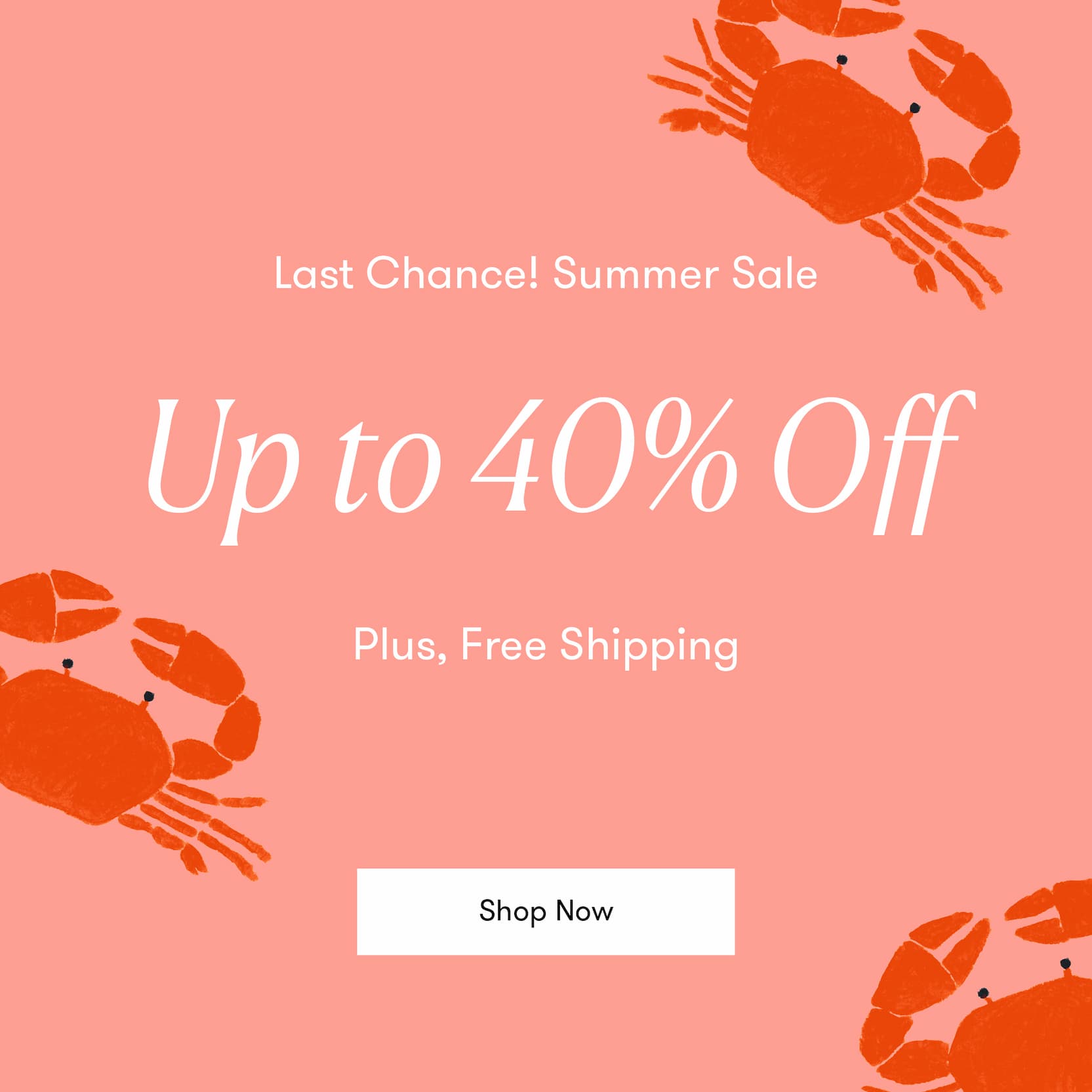 Last Chance! Summer Sale: Up to 40% Off - Plus, Free Shipping
