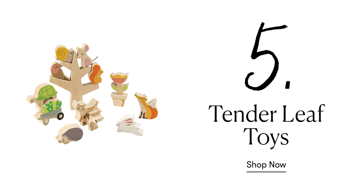 Tender Leaf Toys