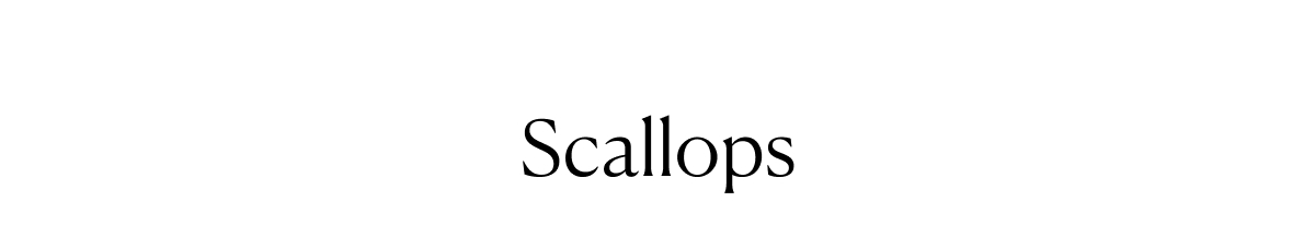 Scallops