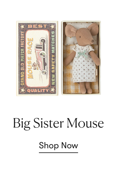 Big Sister Mouse