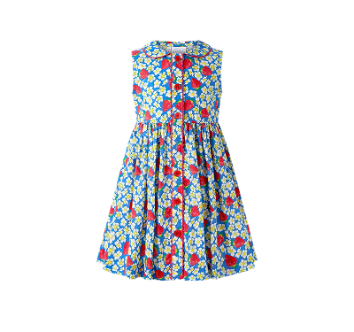 Strawberry Blossom Dress