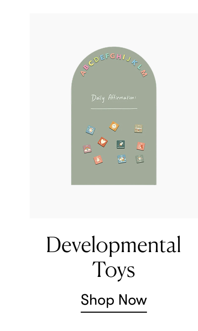Developmental Toys