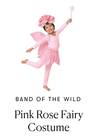 Pink Rose Fairy Costume