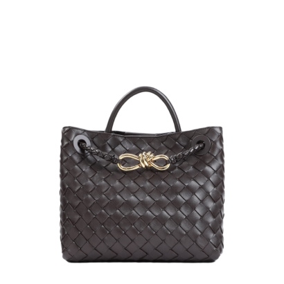 Bottega Veneta Andiamo Small Bag