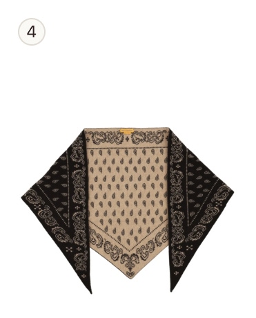 Guest in Residence The Wild Rag Bandana