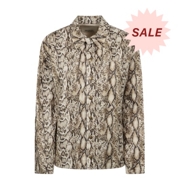 Isabel Marant Python Print Shirt